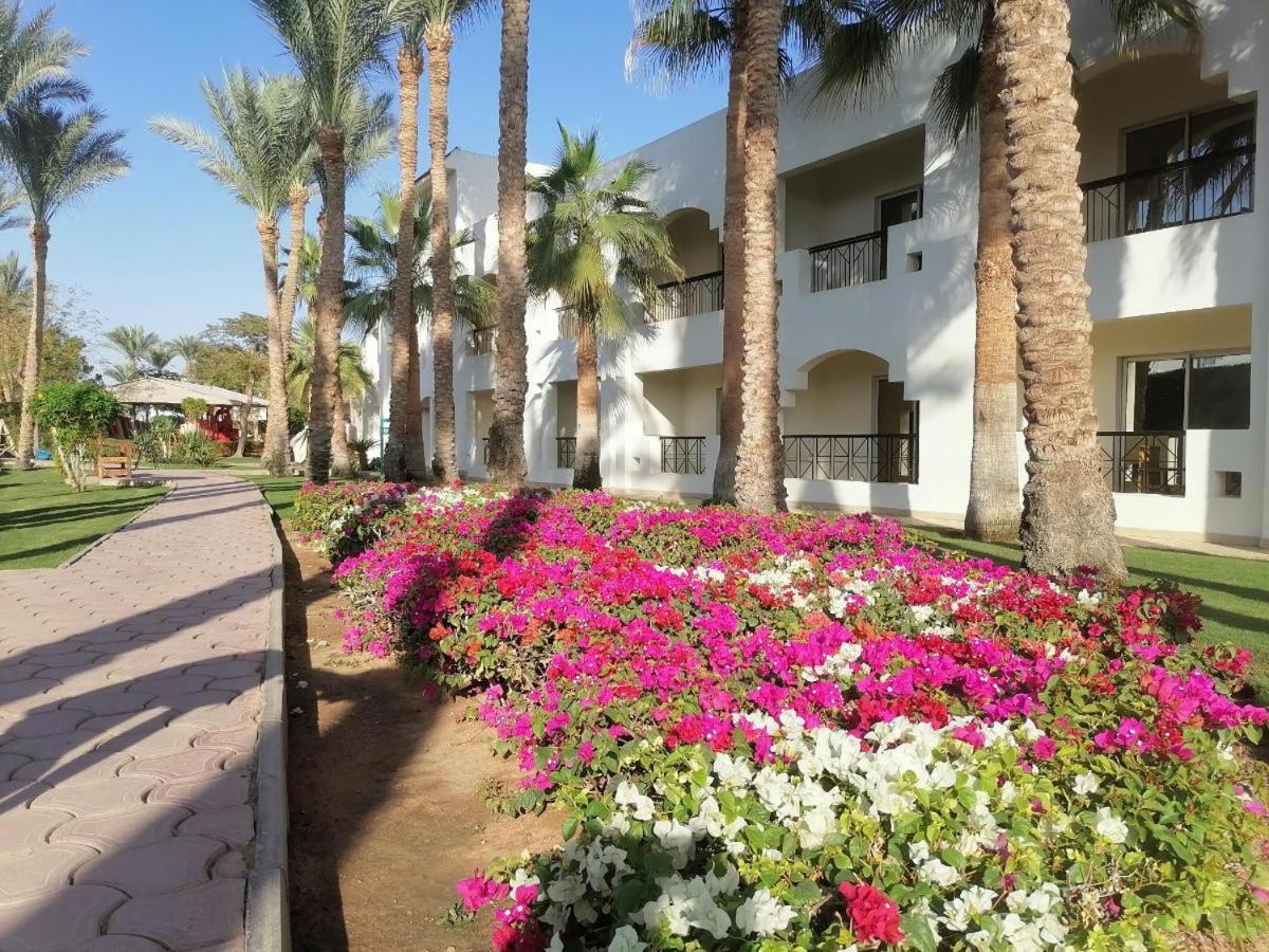 Xperience St. George Sharm El Sheikh Hotel Exterior foto